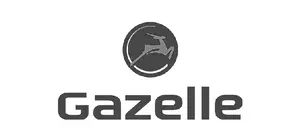 Gazelle