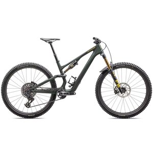 Specialized Stumpjumper 15 Pro